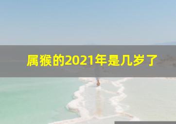 属猴的2021年是几岁了