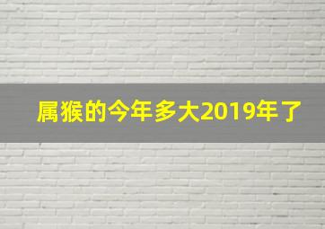 属猴的今年多大2019年了