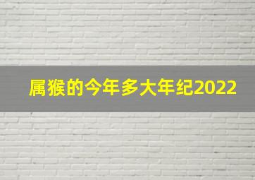 属猴的今年多大年纪2022