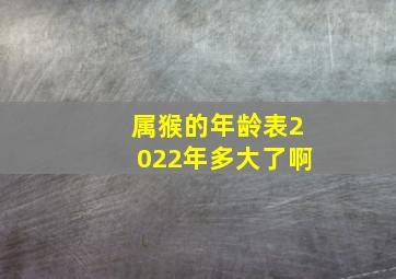 属猴的年龄表2022年多大了啊