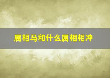 属相马和什么属相相冲