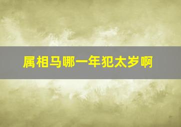 属相马哪一年犯太岁啊