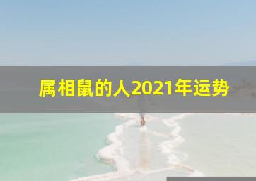 属相鼠的人2021年运势