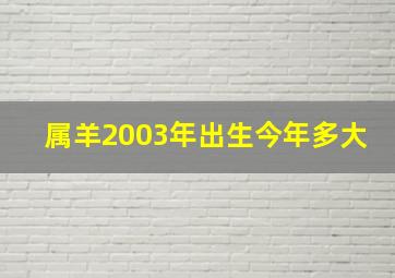 属羊2003年出生今年多大