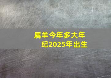 属羊今年多大年纪2025年出生