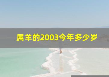 属羊的2003今年多少岁