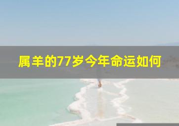 属羊的77岁今年命运如何