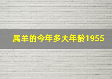 属羊的今年多大年龄1955