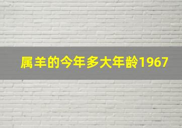 属羊的今年多大年龄1967