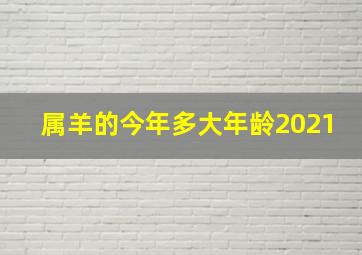 属羊的今年多大年龄2021