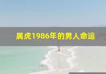 属虎1986年的男人命运