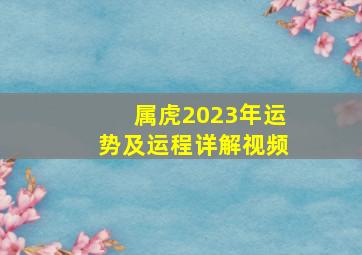 属虎2023年运势及运程详解视频