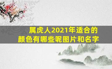 属虎人2021年适合的颜色有哪些呢图片和名字