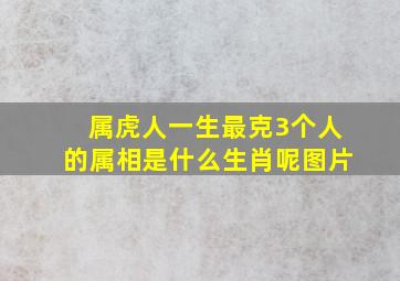 属虎人一生最克3个人的属相是什么生肖呢图片