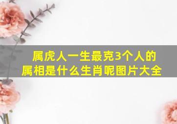 属虎人一生最克3个人的属相是什么生肖呢图片大全