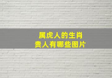 属虎人的生肖贵人有哪些图片