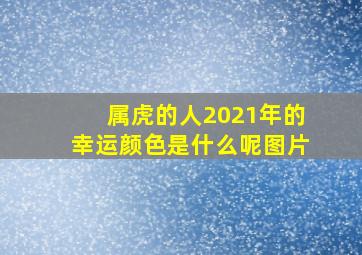 属虎的人2021年的幸运颜色是什么呢图片