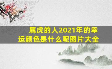 属虎的人2021年的幸运颜色是什么呢图片大全