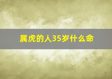 属虎的人35岁什么命