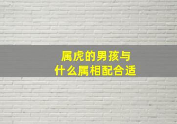 属虎的男孩与什么属相配合适