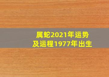 属蛇2021年运势及运程1977年出生