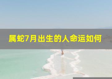 属蛇7月出生的人命运如何