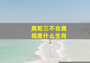 属蛇三不合属相是什么生肖