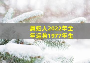 属蛇人2022年全年运势1977年生