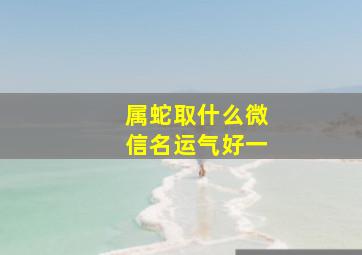 属蛇取什么微信名运气好一