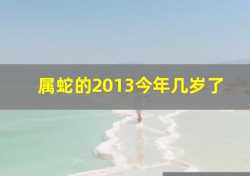 属蛇的2013今年几岁了