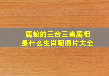 属蛇的三合三害属相是什么生肖呢图片大全