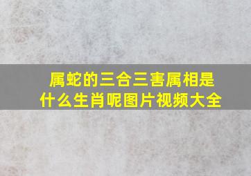 属蛇的三合三害属相是什么生肖呢图片视频大全