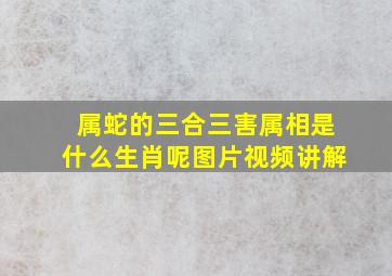 属蛇的三合三害属相是什么生肖呢图片视频讲解