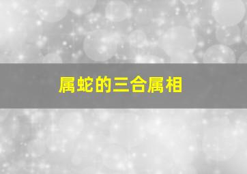 属蛇的三合属相