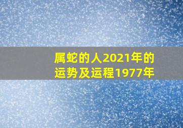 属蛇的人2021年的运势及运程1977年