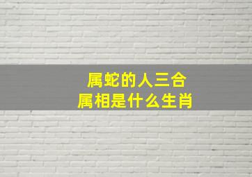 属蛇的人三合属相是什么生肖