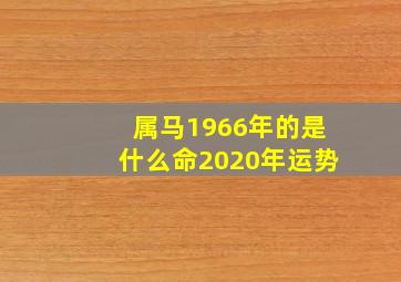 属马1966年的是什么命2020年运势