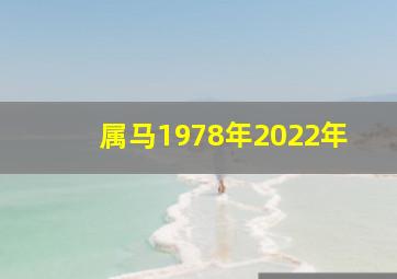 属马1978年2022年