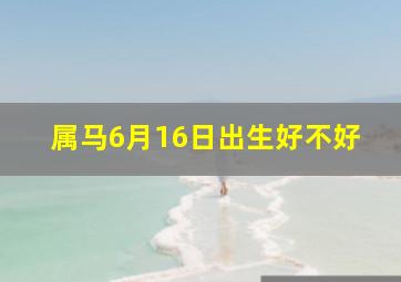 属马6月16日出生好不好