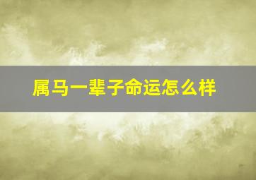 属马一辈子命运怎么样