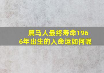 属马人最终寿命1966年出生的人命运如何呢