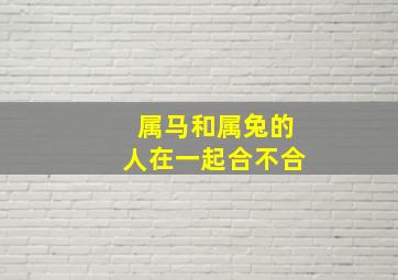 属马和属兔的人在一起合不合