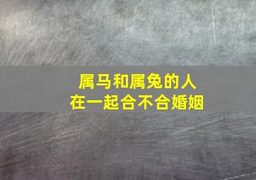 属马和属兔的人在一起合不合婚姻