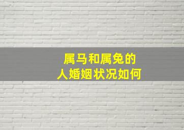 属马和属兔的人婚姻状况如何