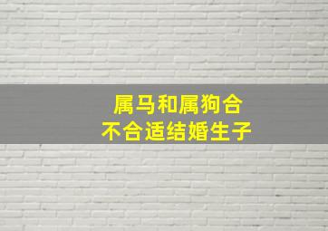 属马和属狗合不合适结婚生子