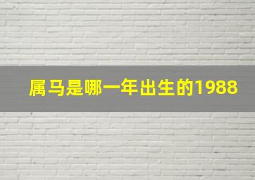 属马是哪一年出生的1988