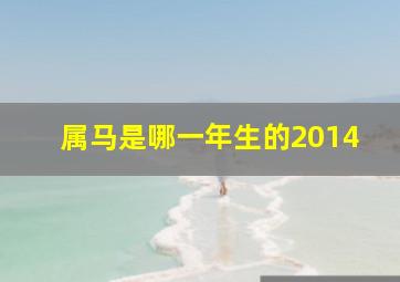 属马是哪一年生的2014