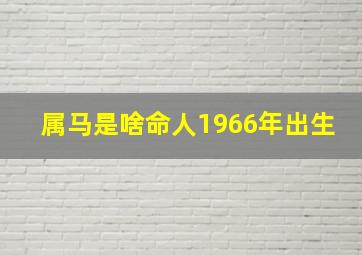 属马是啥命人1966年出生