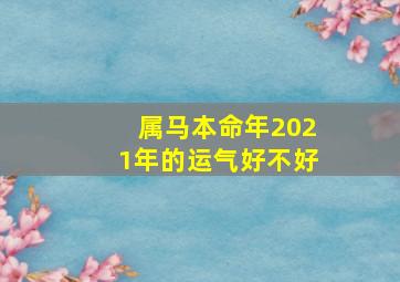 属马本命年2021年的运气好不好