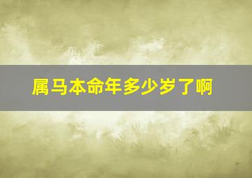 属马本命年多少岁了啊